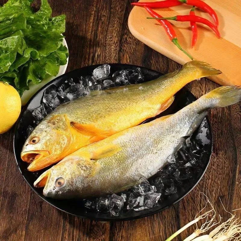 (10条)海黄鱼 肉质鲜嫩 蒜瓣肉 码头直发5两左右1条到手10条729伟