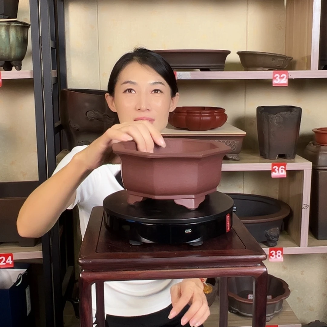 爱***猫紫砂花盆2565899889869988