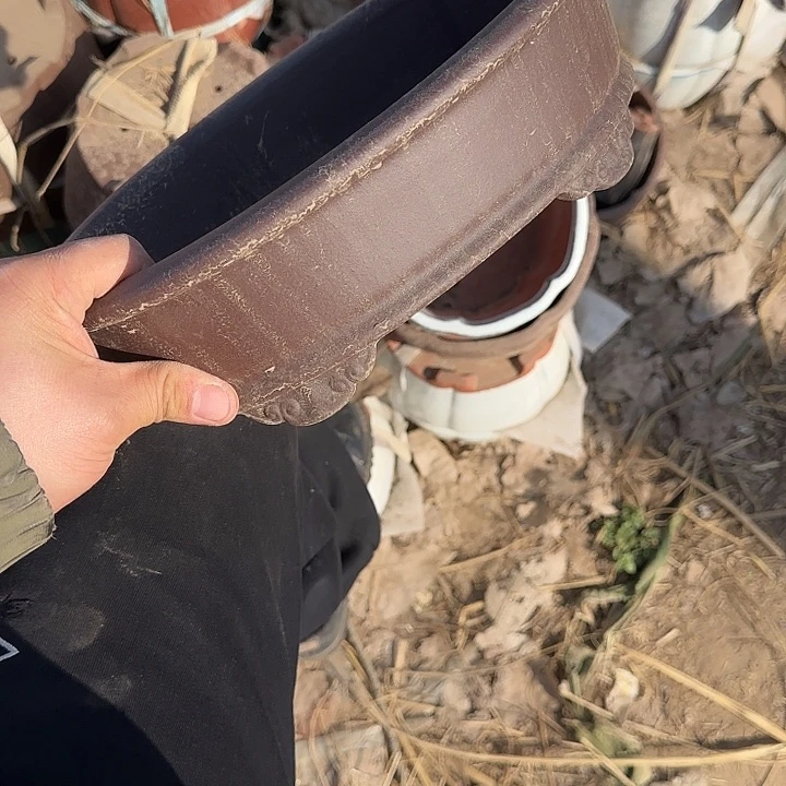 没有你也是最开心滴日子吧啊这不都要我说出来