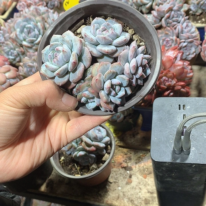 哈哈哈哈哈哈哈哈5