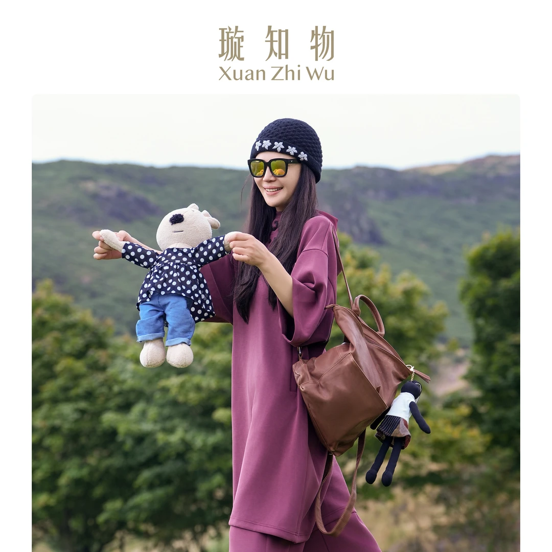 阿尔卑斯(上装）悠闲衫 oversize静奢复古风 堆领连帽王璇原创设计