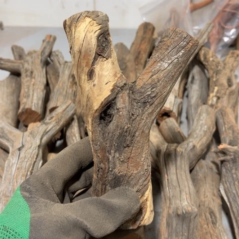 大果紫檀（缅甸花梨）巍