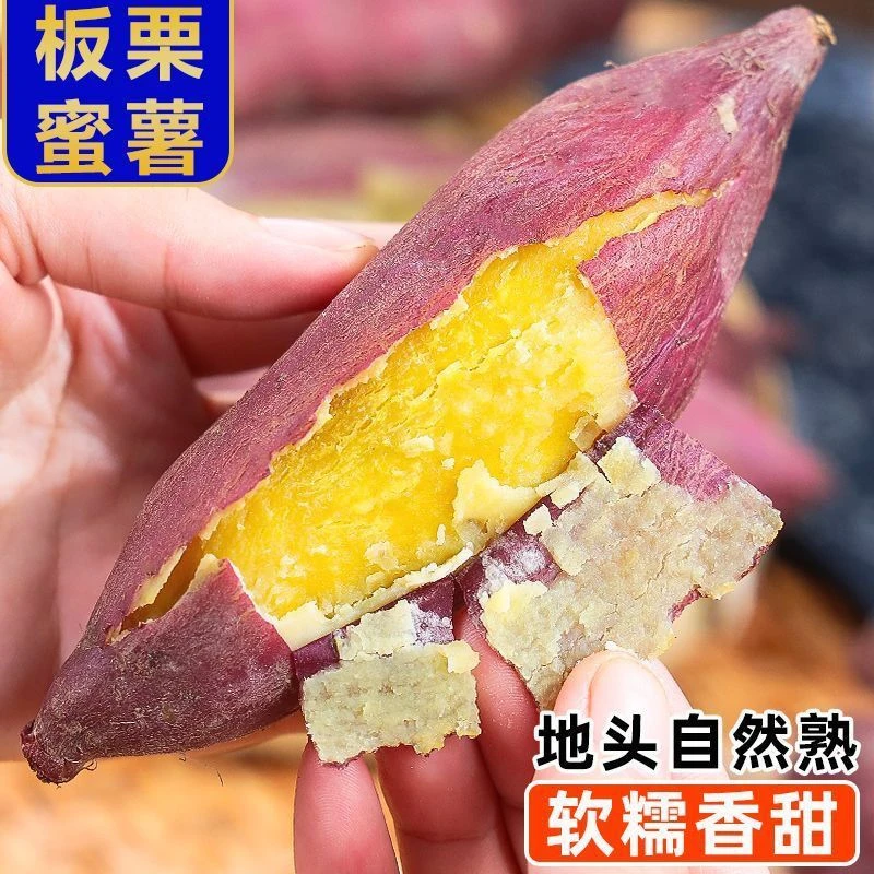 25沂蒙山农家黄金板栗红薯沙地板栗薯新鲜甜黄欣番薯甜糯软糯黄心