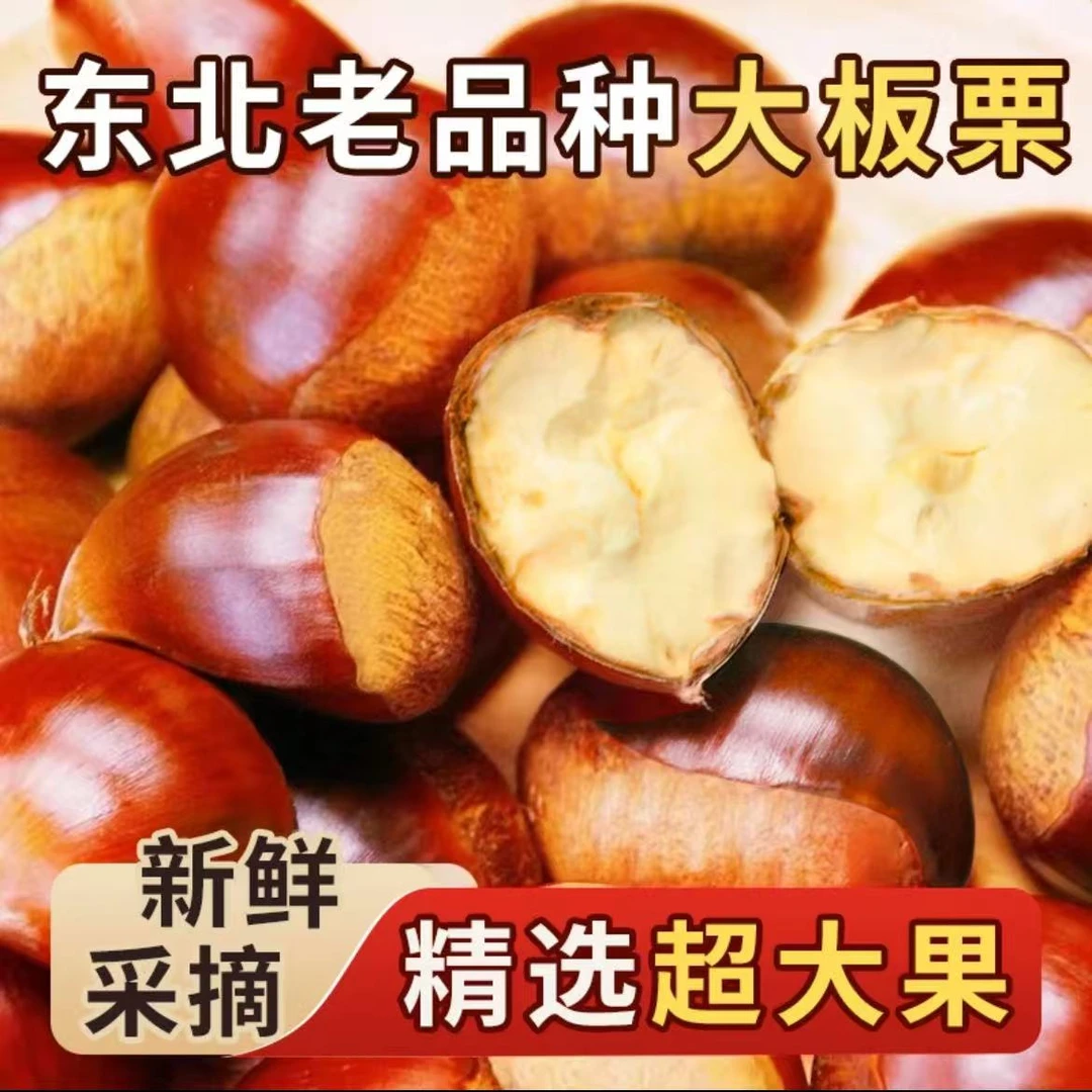 东北老品种精选超大果板栗新鲜美味