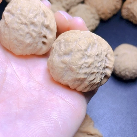 大叶紫檀（黑酸枝木类）弹****师