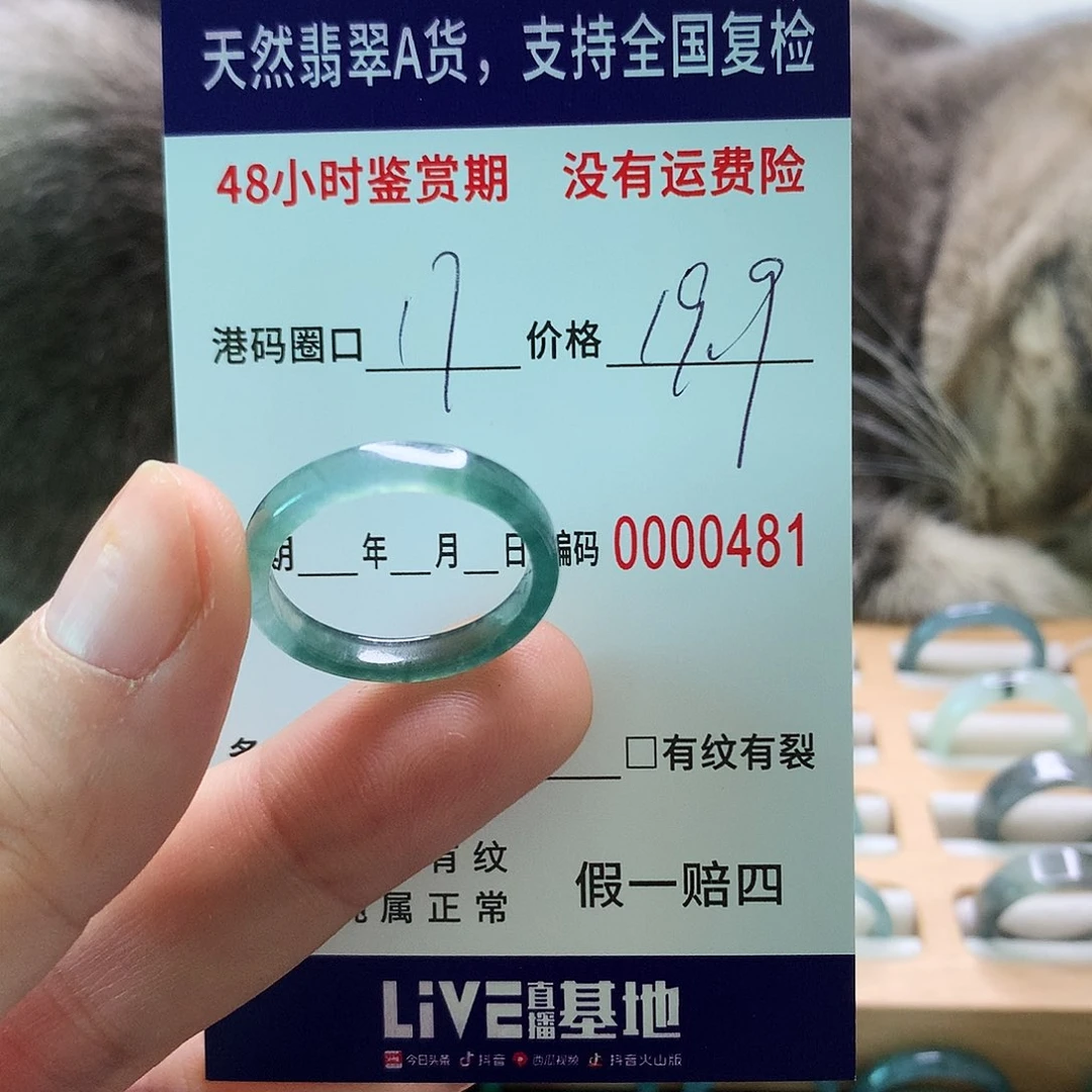 翡翠戒指未镶嵌天然翡翠戒指