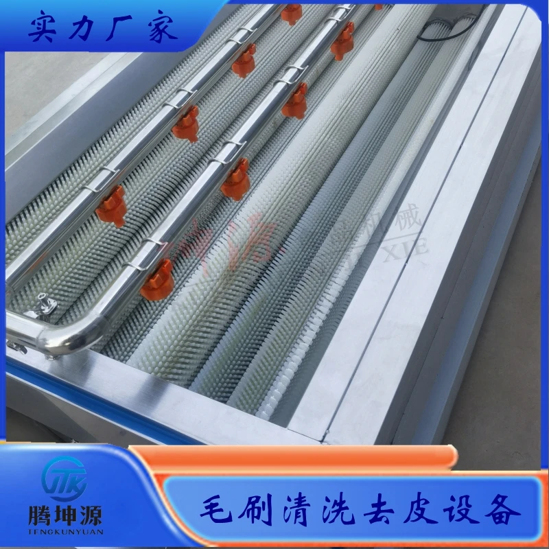花生土豆红薯生姜毛辊清洗机 百香果地黄油茶籽藠头毛刷清洗设备