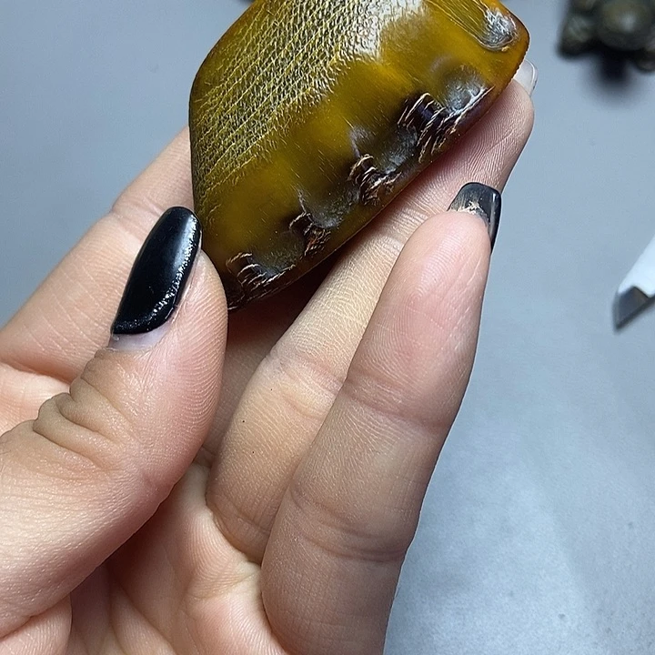 大果紫檀（缅甸花梨）