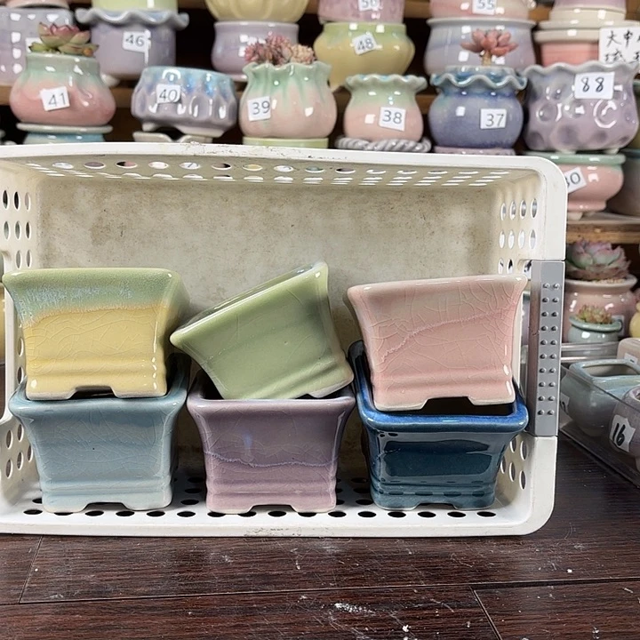 陶瓷量货/口7高5深浅搭配发6