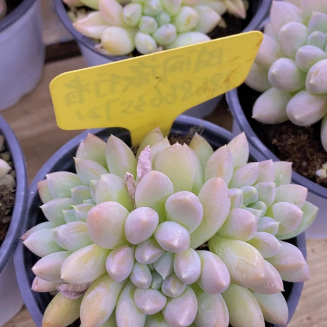 清货专场，粉丝一单包邮