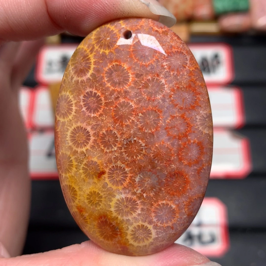【闪购商品】未镶嵌颈饰硅化玉渔****）