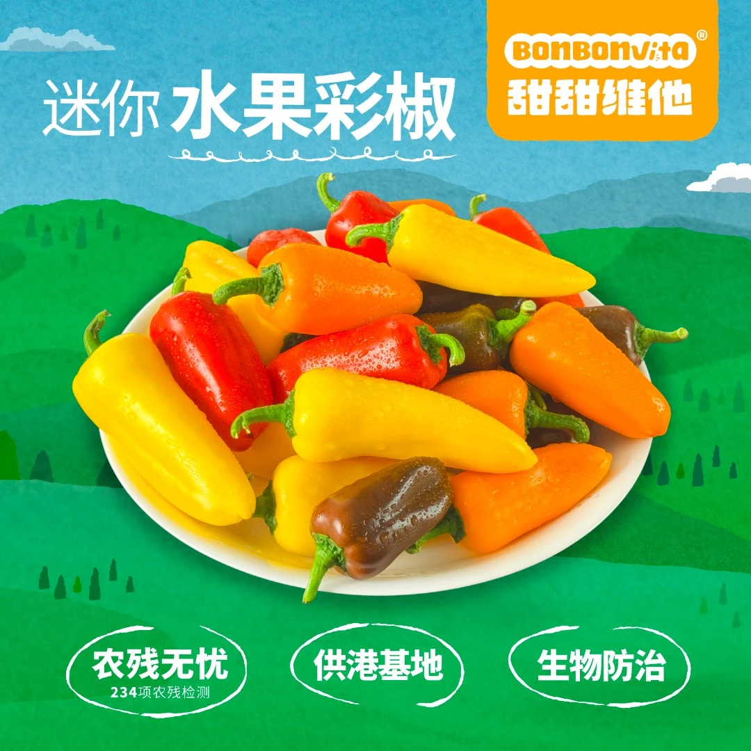 BonBonVita【迷你椒】甜甜维他宝宝甜椒水果彩椒500g/箱（15个左右）