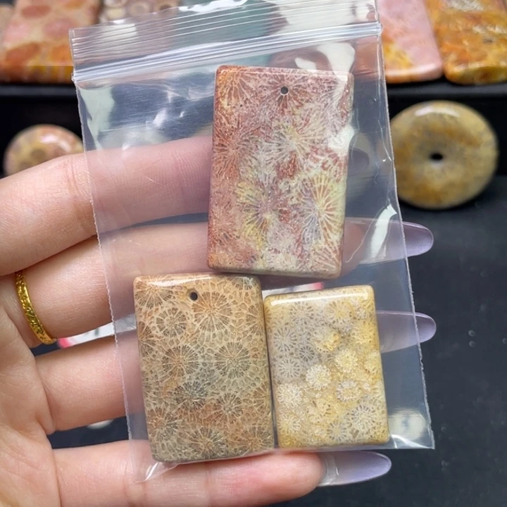 未镶嵌吊坠硅化珊瑚（珊瑚玉）