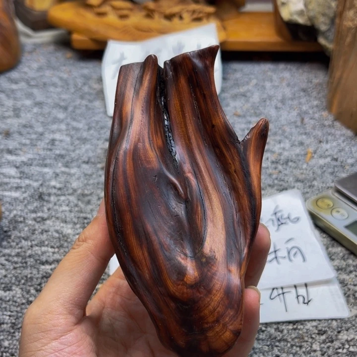 柏木（崖柏）崖柏93