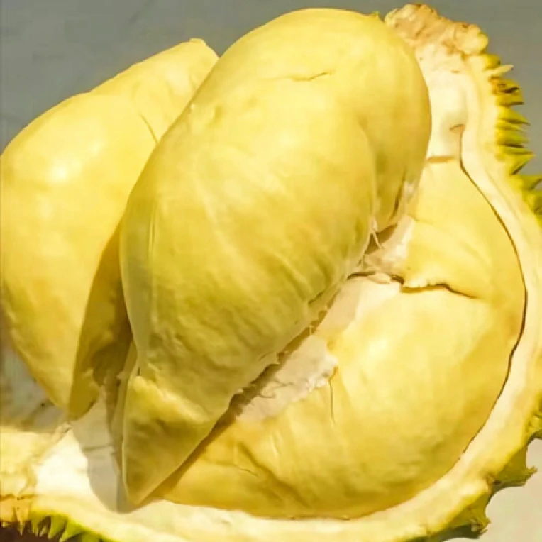 【一果一拍】泰国空运树熟金枕鲜榴莲核小3.5斤-6.5斤金枕泰国