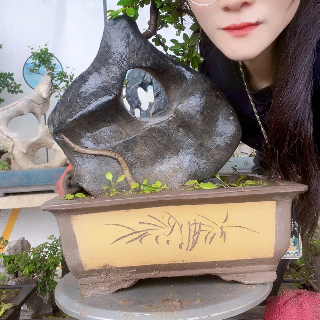 清***柳直播间已有哦花胶