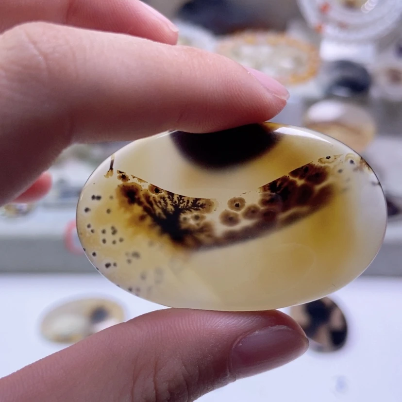 【闪购商品】玛瑙/玉髓颈饰合金