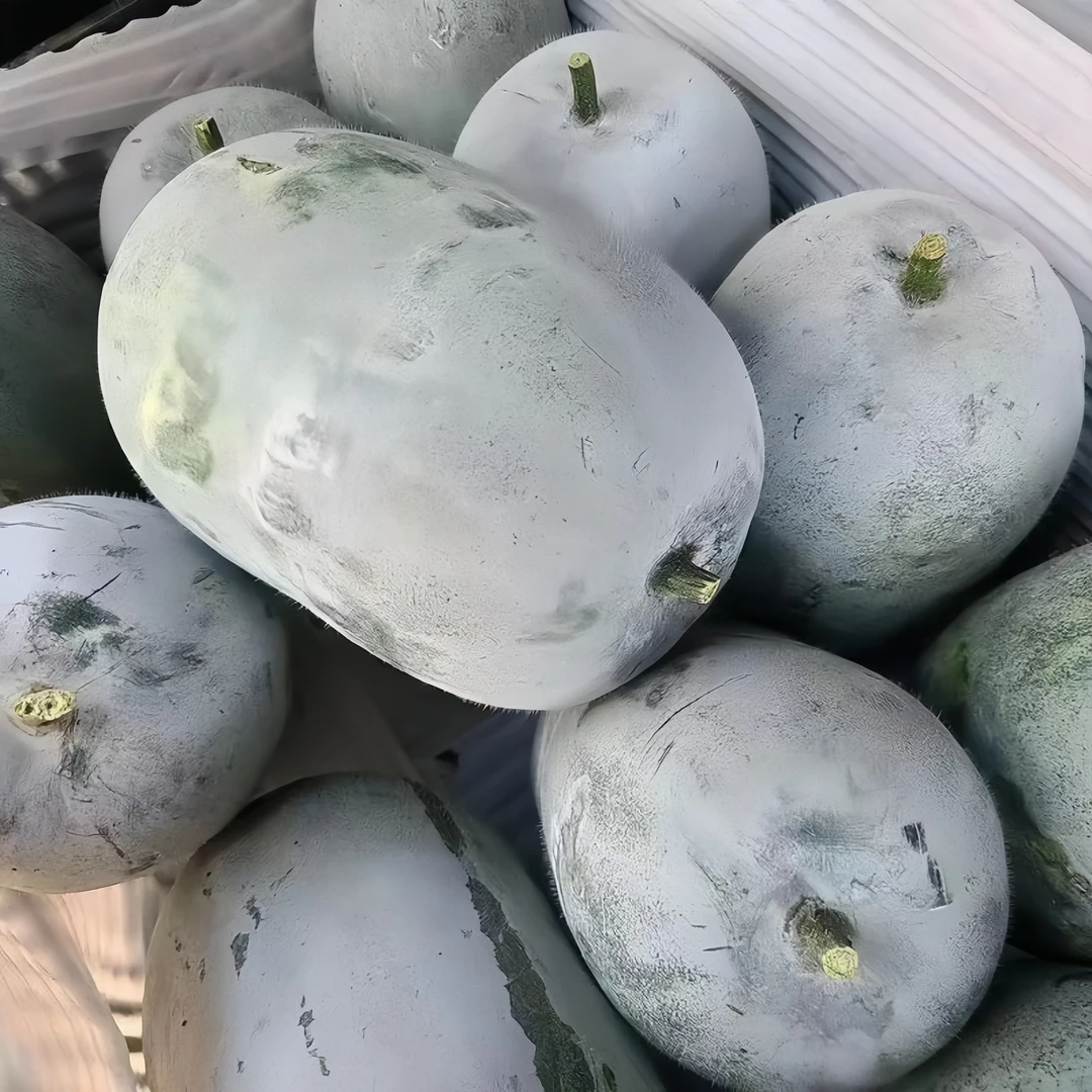 河南小个新鲜农家自种蔬菜迷你香小冬瓜清香产地当季东瓜水果冬瓜