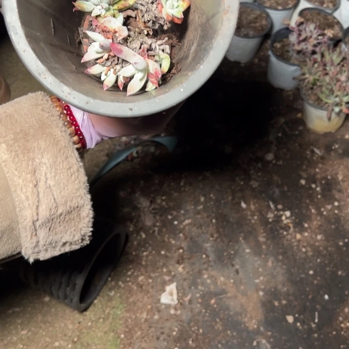 576个哈哈哈哈哈哈哈哈