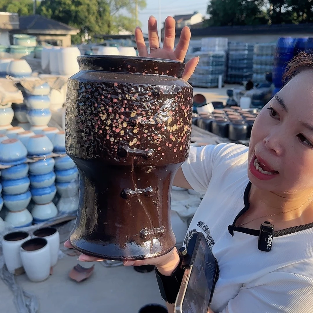 王嫂花盆直播0825-高度26口14