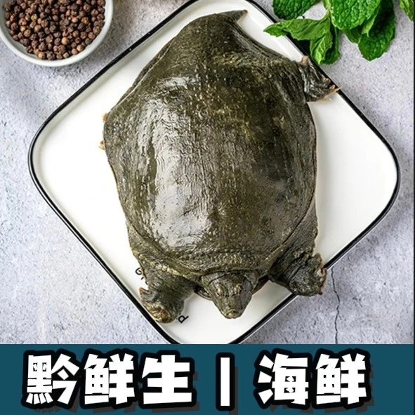 【小青甲】一只 400-500g