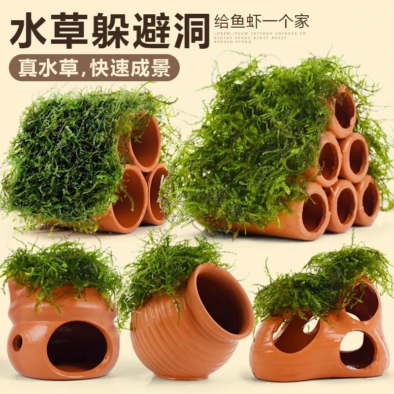 莫斯陶罐躲避屋装饰水草鱼缸造景植物鱼虾躲避洞虾屋摆件小鱼繁殖