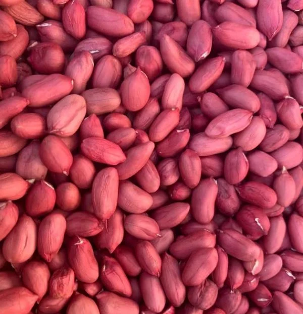 [甄选山货LZ] 红皮花生