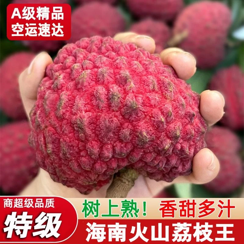 【海南火山岩荔枝王】臻享3斤装-当季超大个新鲜永兴荔枝高端水果