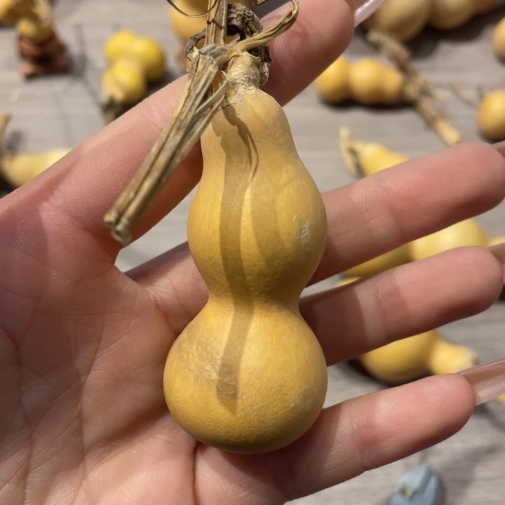 自*粗嘴葫芦粗嘴葫芦