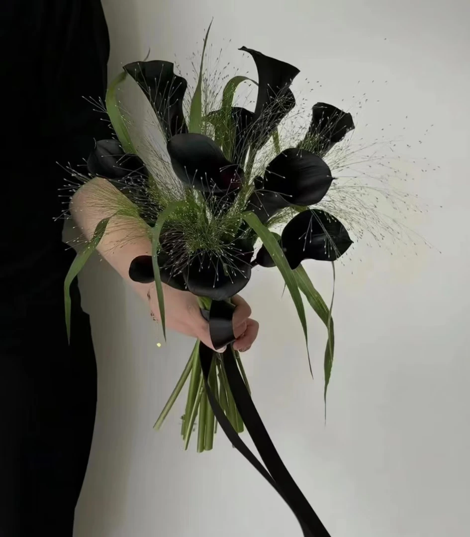 A级【黑色马蹄莲】鲜切花云南基地直发