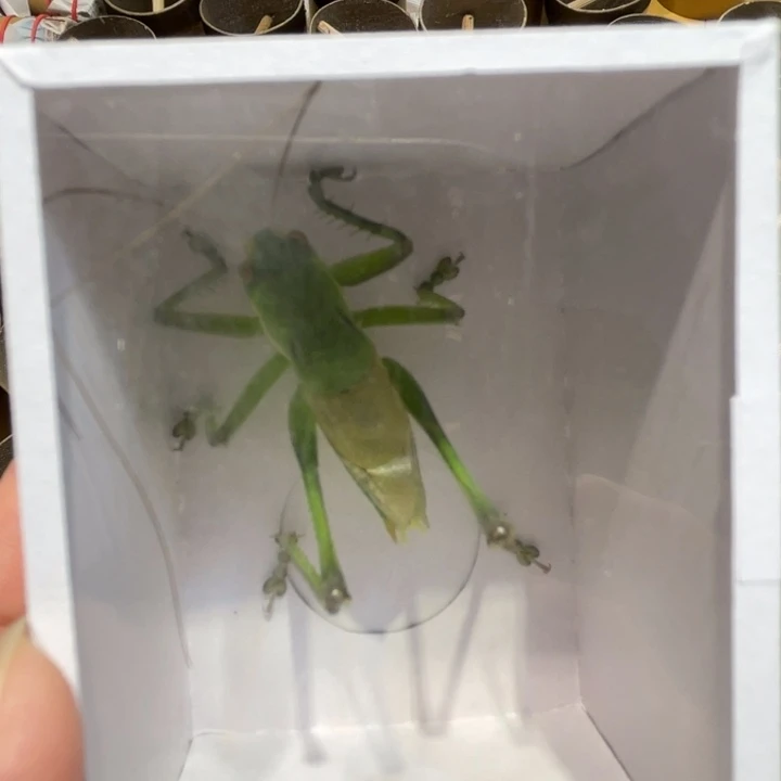 花***雨嗯哼好想要这样甜甜