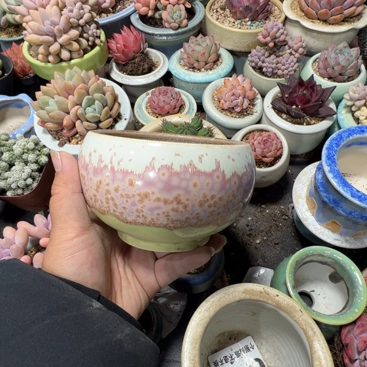 特价花盆满50发货 内口10