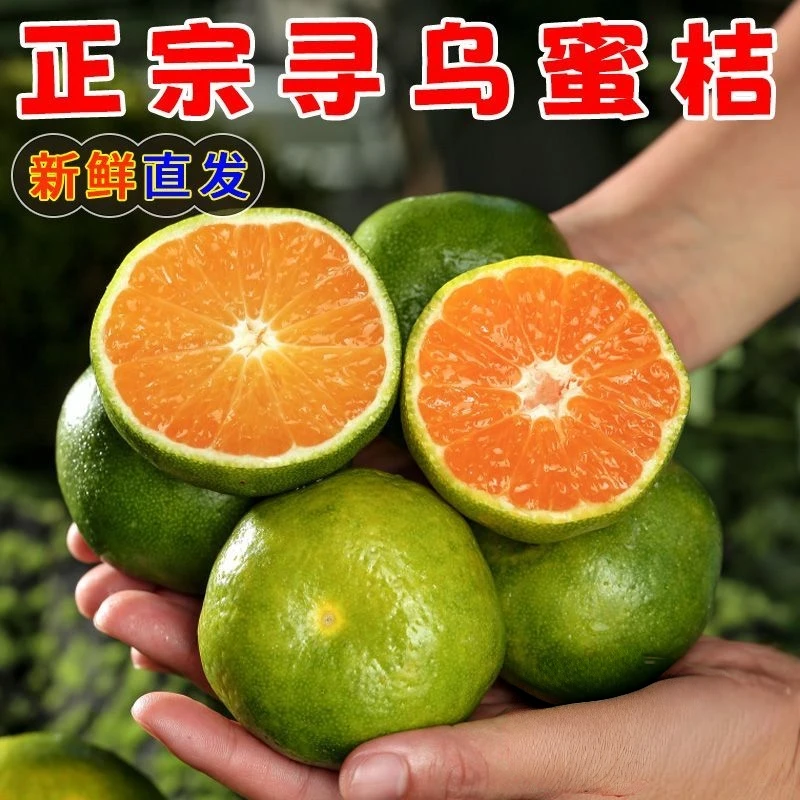 （达人专属)江西赣南寻乌蜜橘现摘无籽青皮蜜橘新鲜应季水果3/5斤