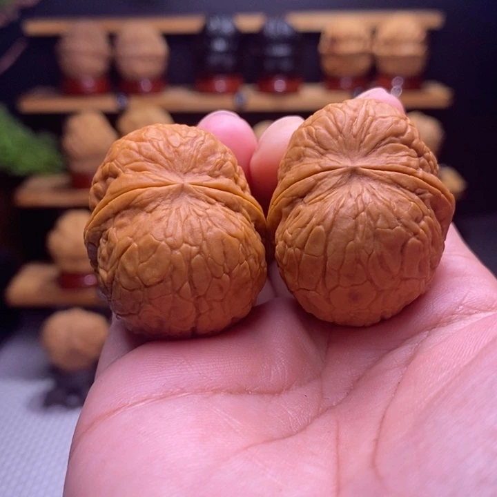 木质类云铁寿星元宝19号