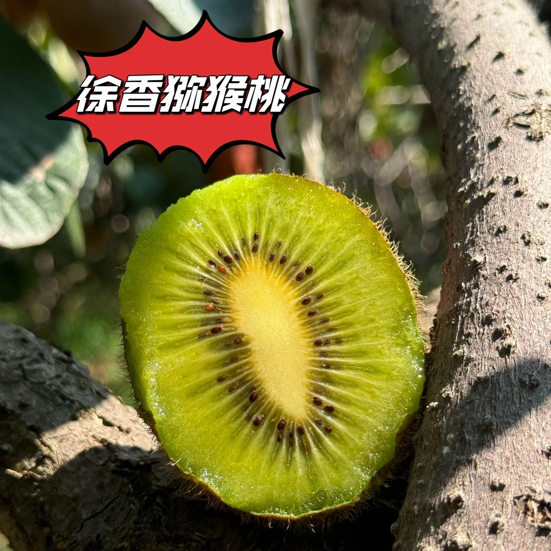 【景先生】陕西徐香猕猴桃软糯香甜皮薄肉厚新鲜应季坏果包赔