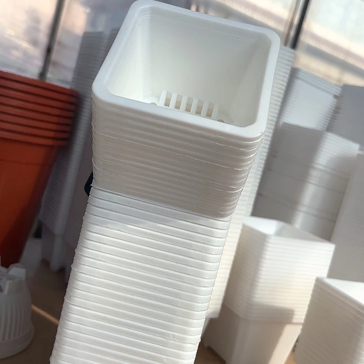 100白方盆9公分高7公分30个