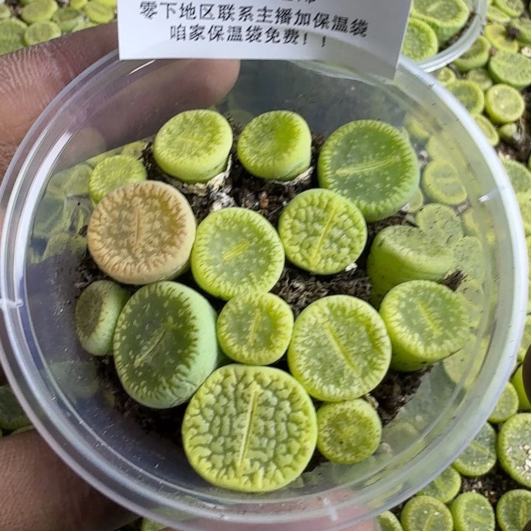 1010 哈哈哈哈哈哈哈哈哈