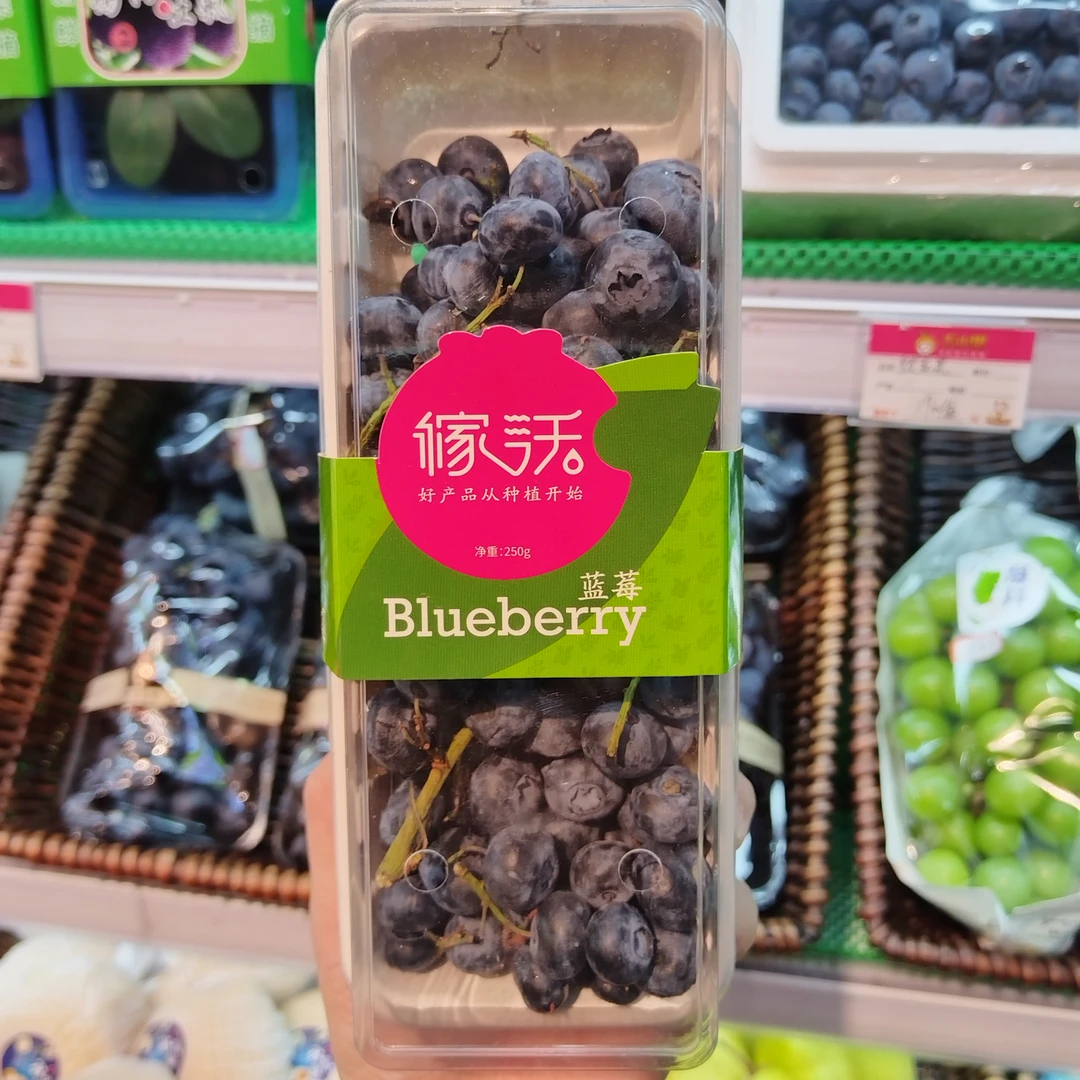 山东一级蓝莓1盒约288g约17mm左右辽宁省