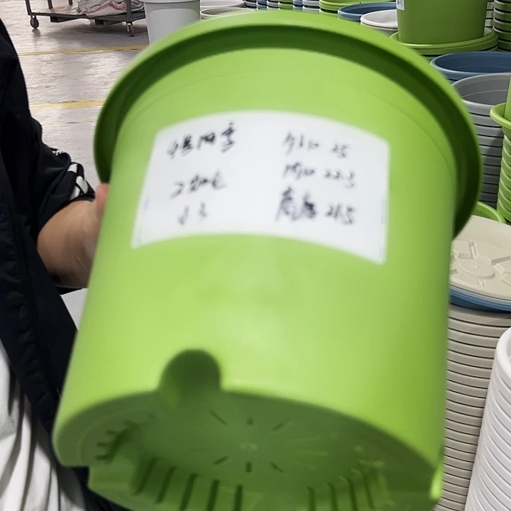 正品4号四季口25号21.5果绿无托8只