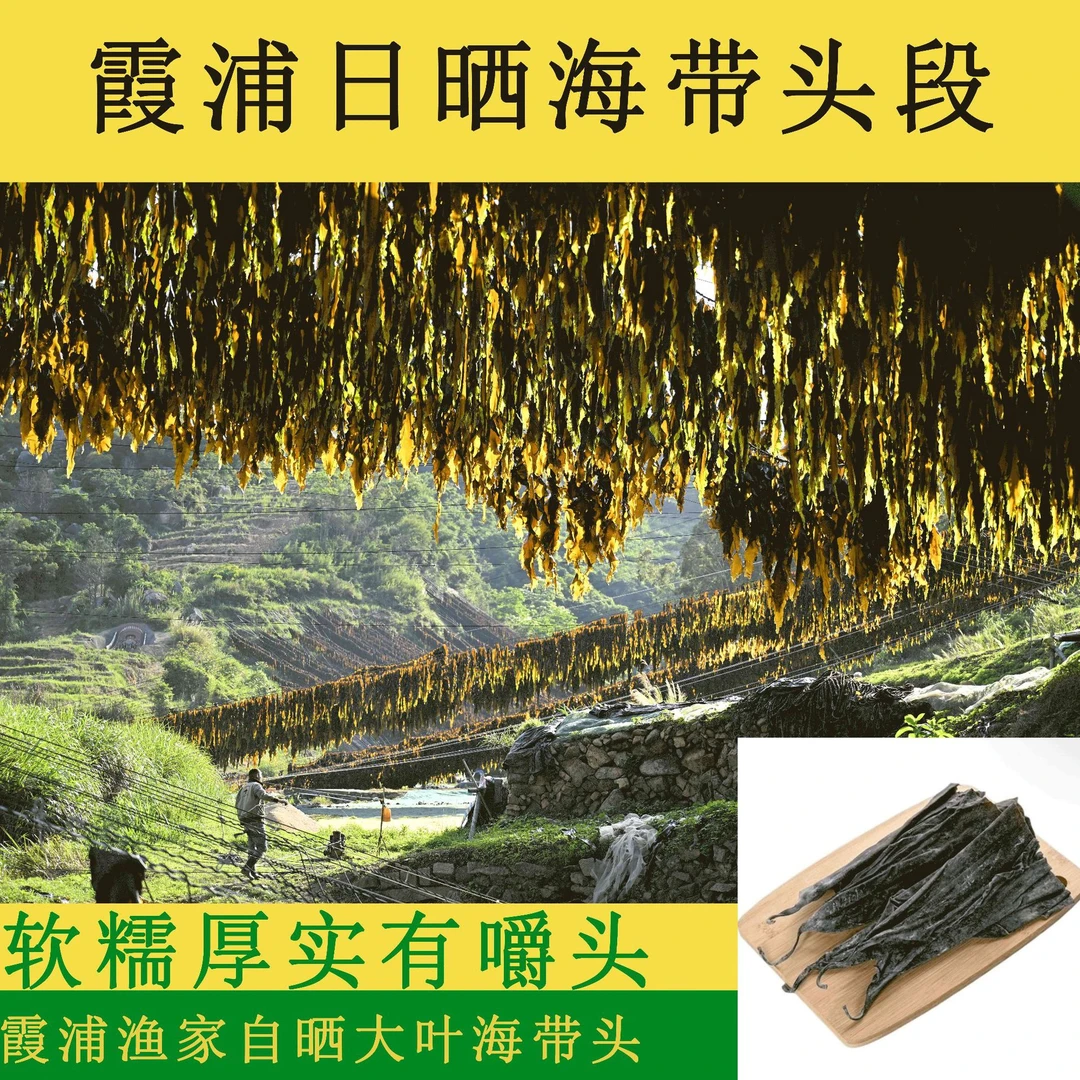 霞浦日晒海带头干货特厚海带厚片软糯优质无沙挂晒海带头