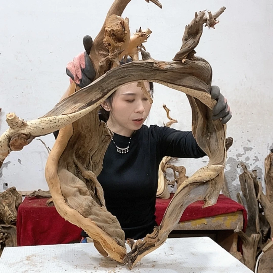 【闪购商品】柏木毛*我们都是好孩子