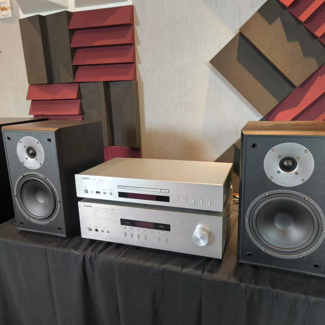 202专业纯功放两分频高保真HiFi音箱木质套装无线发烧