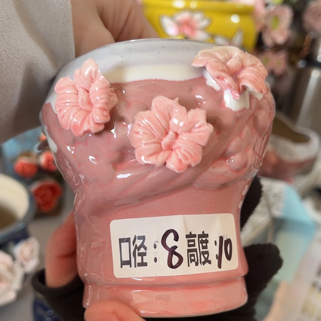 【闪购商品】红陶福利