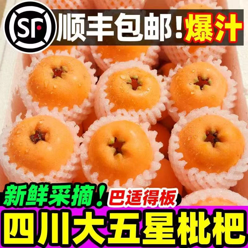 【顺丰包邮】高山枇杷新鲜现摘甜枇杷水果孕妇水果大五星枇杷