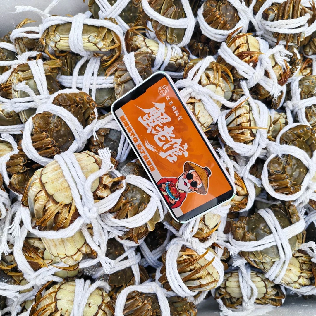 【韩美丽专属】 活蟹【蟹老倌】江苏大闸蟹母蟹2.8-2.6两4/8只装黄鲜肉甜鲜活