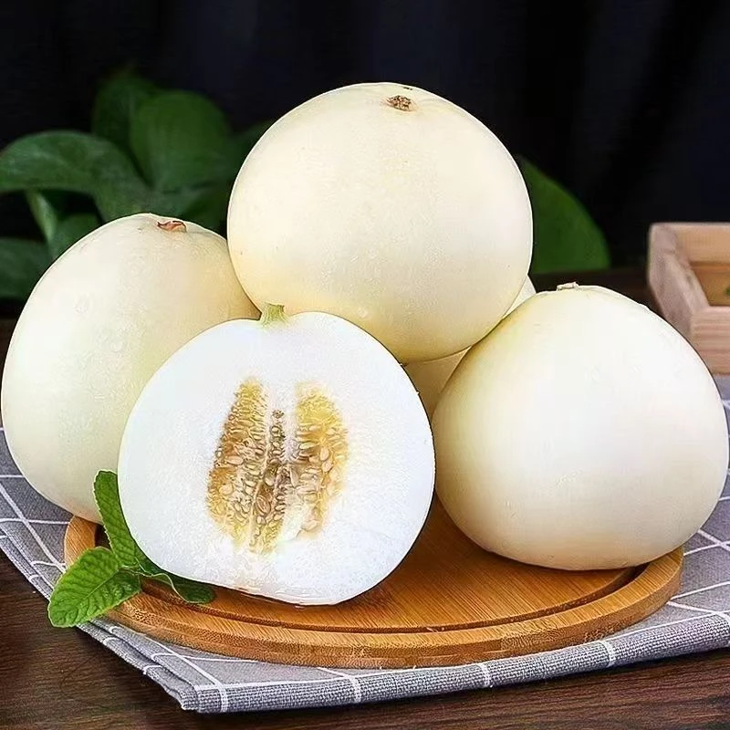 阎良甜瓜头茬新鲜软糯香甜时令水果包邮带箱5斤