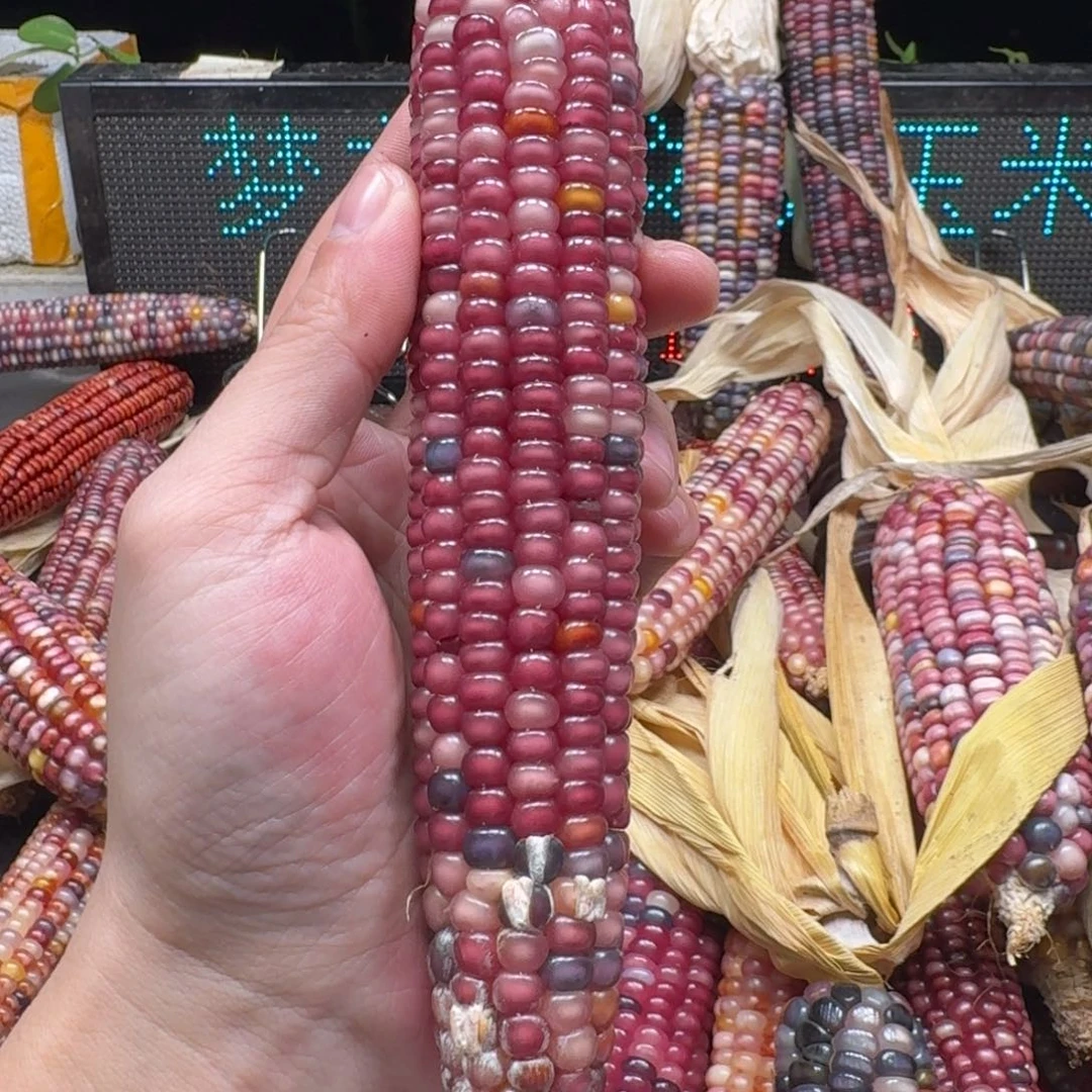 梨****柏香籽/百香籽吊坠