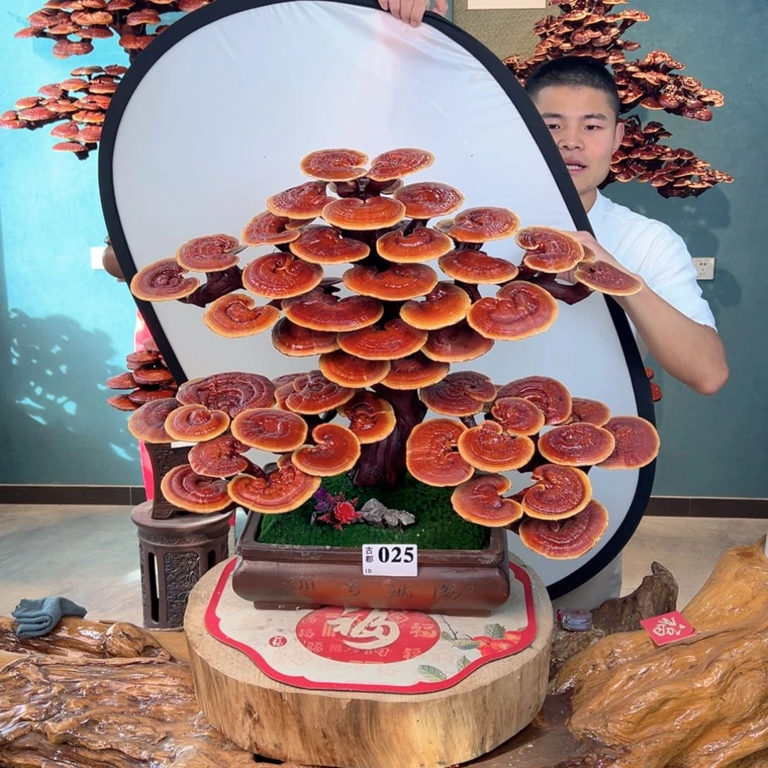 无花朵788888888888