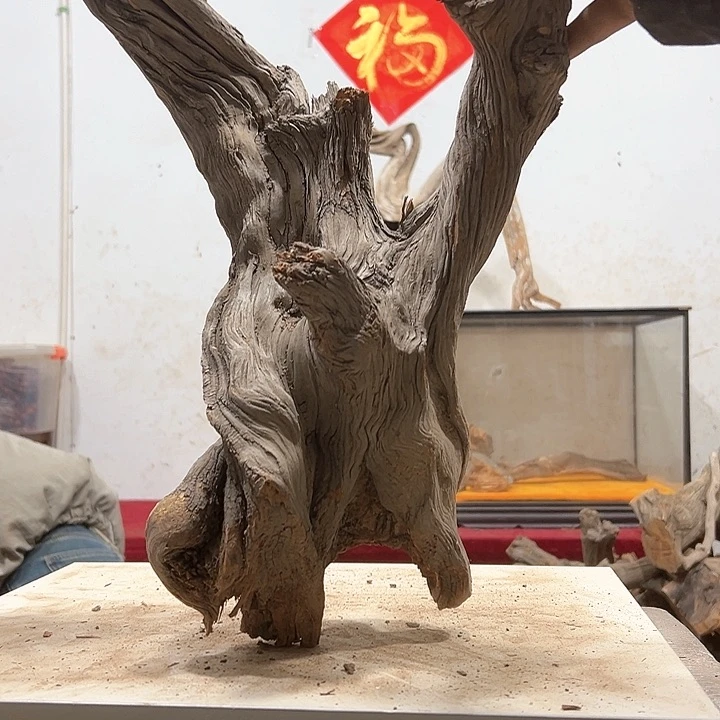 柏木张*忠我们的生活也