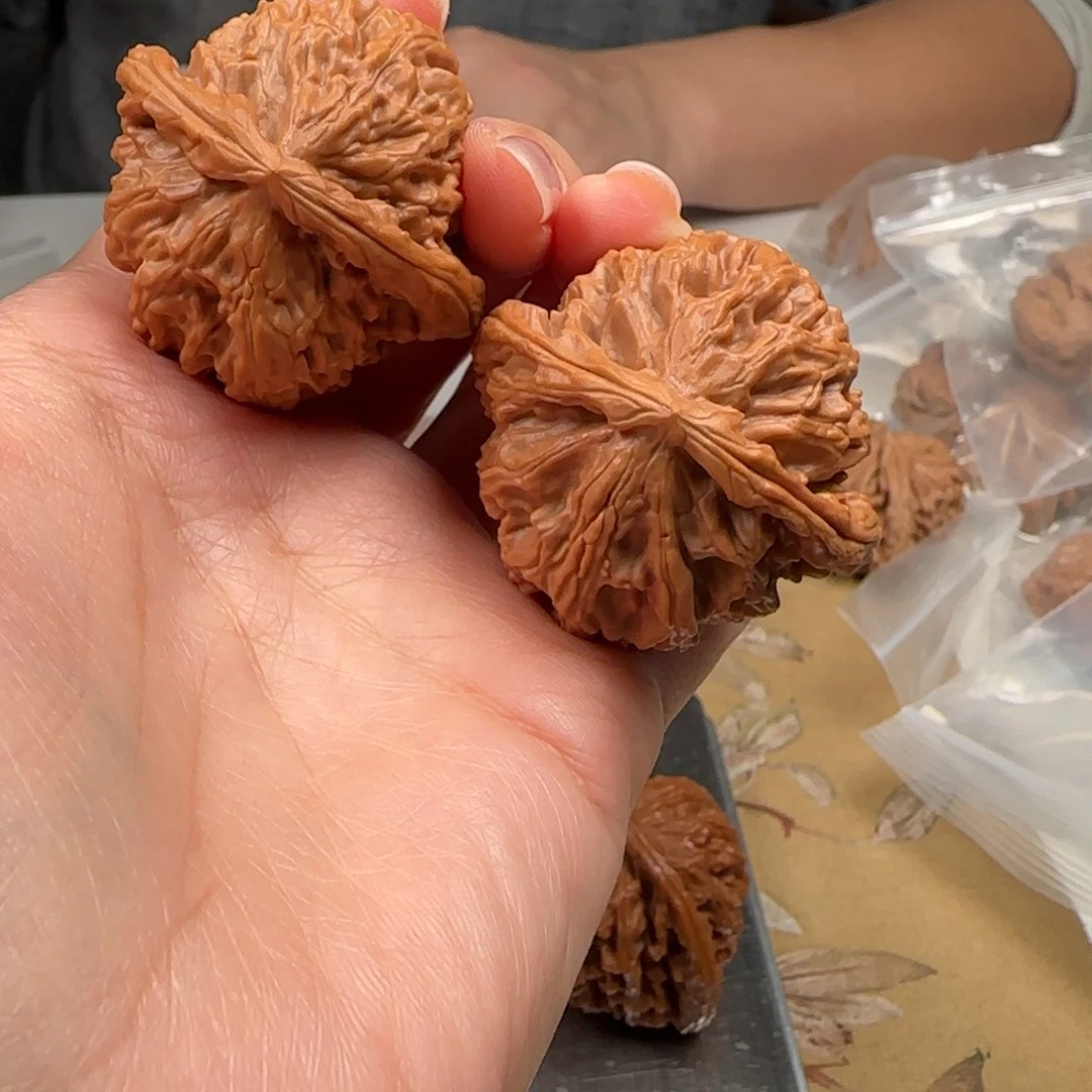 文玩核桃吊坠山地白狮子41-79